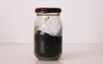 Exposición "Ezbozo en Frasco; Presencias en la Cocina" Luisa Barrera Exposición "Ezbozo en Frasco; Presencias en la Cocina" Luisa Barrera