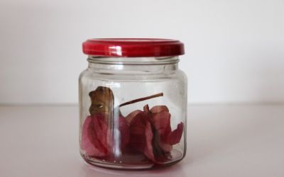 Exposición "Ezbozo en Frasco; Presencias en la Cocina" Luisa Barrera Exposición "Ezbozo en Frasco; Presencias en la Cocina" Luisa Barrera