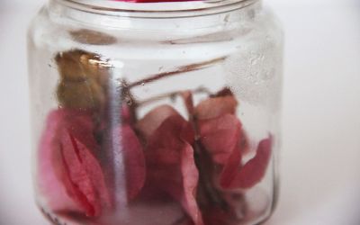 Exposición "Ezbozo en Frasco; Presencias en la Cocina" Luisa Barrera Exposición "Ezbozo en Frasco; Presencias en la Cocina" Luisa Barrera