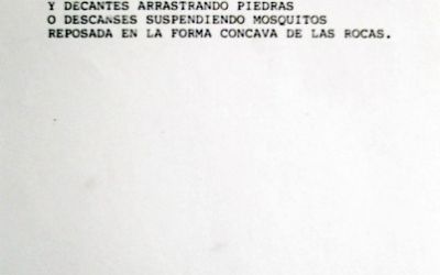 Exposición "Este mar que es tan grande" de Catalina Duhalde Exposición "Este mar que es tan grande" de Catalina Duhalde
