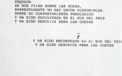Exposición "Este mar que es tan grande" de Catalina Duhalde Exposición "Este mar que es tan grande" de Catalina Duhalde