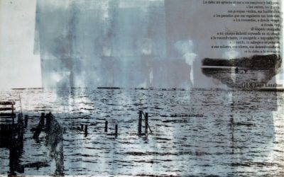 Exposición "Este mar que es tan grande" de Catalina Duhalde Exposición "Este mar que es tan grande" de Catalina Duhalde