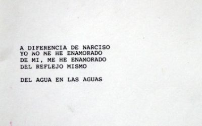 Exposición "Este mar que es tan grande" de Catalina Duhalde Exposición "Este mar que es tan grande" de Catalina Duhalde