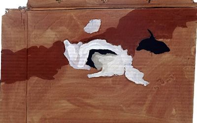 Exposición "Precaria" de Dayana Sepúlveda. Exposición "Precaria" de Dayana Sepúlveda.