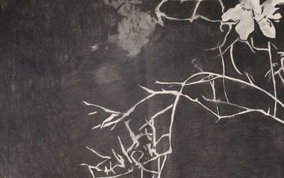 Exposición "Visión Nocturna" de María José Fernández Exposición "Visión Nocturna" de María José Fernández