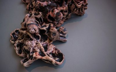 Exposición "Tres hitos territoriales" obra de Fernanda Figueroa. Exposición "Tres hitos territoriales" obra de Fernanda Figueroa.