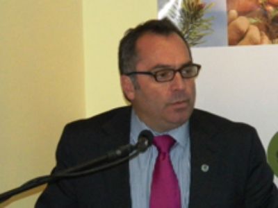 Fernando Rosselot, director ejecutivo del Instituto Forestal (INFOR), indicó que ¿las plantaciones comercialmente más importantes se han expandido por sobre los 2,5 millones de hectáreas.