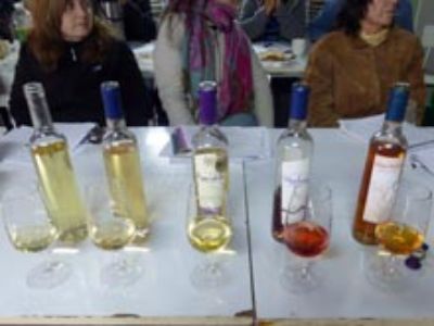 Los pajareteros aprendiendo de cata de vinos y sobre alternativas de producción de vino con variedades pisqueras, con la profesora Carmen Prieto.