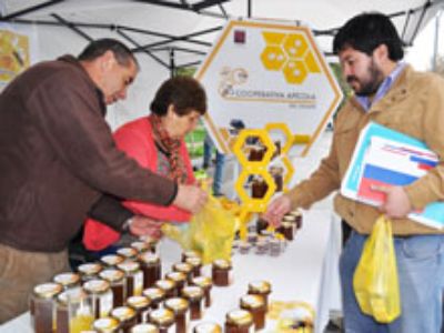A las Facultad le correspondió ver el tema de agregación de valor para el desarrollo comercial de productos agroalimentarios del Choapa, en nueces, miel y damascos secos.