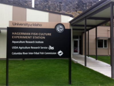 Instalaciones del Aquaculture Research Institute, Hagerman, Idaho