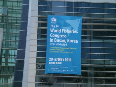 El Profesor Araneda expuso sobre trazabilidad molecular del chorito (<em>Mytilus chilensis</em>) en el 7<sup>th</sup> World Fisheries Congress en Corea del Sur.  