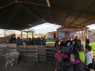 Agricultores participantes de la Visita técnica, pertenecientes al PRODESAL La Estrella.