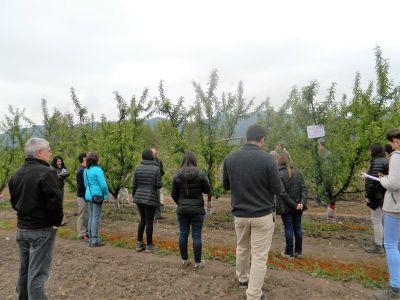 Durante la jornada, se presentaron los resultados de las evaluaciones de las variedades y de las selecciones avanzadas de nectarinos y durazneros, así como las nuevas selecciones obtenidas.