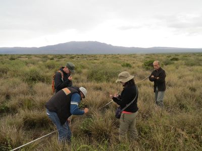 Se realizó un entrenamiento en terreno en tópicos relacionados con métodos de evaluación de pastizales naturales orientados a determinar condición, tendencia y capacidad de carga de estos ecosistemas.