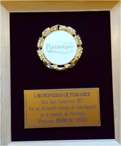 El galvano de reconocimiento fue entregado por el Alcalde de Purranque, Sr. Héctor Barría.
