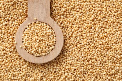 La semilla de amaranto es una de las fuentes más importante de proteínas, ya que supera a la mayoría de los cereales, además de ser fuente de minerales y vitaminas naturales: A, B, C, B1, B2, B3.
