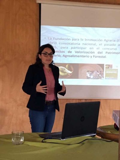 La Profesora Sofía Boza expuso el proyecto financiado por la Fundación para la Innovación Agraria "Valorización del Chacolí, en el corazón de la identidad doñihuana".