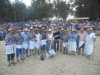 Desde el año 2014 se celebra en el sector rural de Antiquereo en la comuna de Trehuaco la fiesta costumbrista de la Cuelcha. La actividad busca rescatar las tradiciones campesinas.