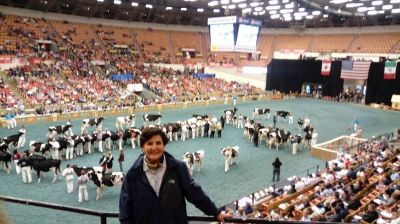 Arena Central de World Dairy Expo 2017.
