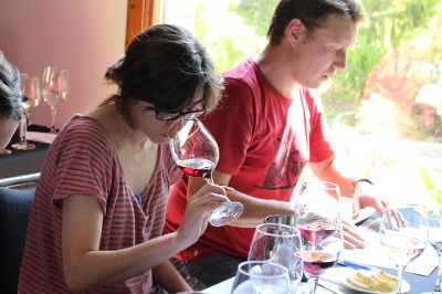  El Secano Interior del MAULE, es el Valle de mayor tradición vitivinícola con casi el 50% de la producción nacional de vinos