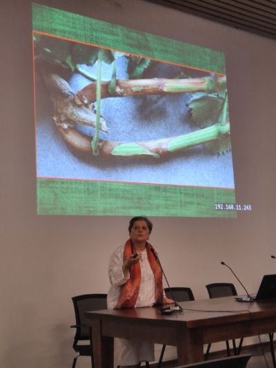 La Dra. Assunta Bertaccini del Depto. de Agricultura y Ciencias de la Alimentación de la Universidad de Bologna, Italia. 