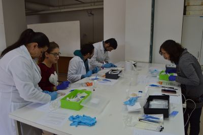 La realización de este curso fue posible gracias al trabajo en equipo de los grupos de investigación de los profesores de la Universidad de Chile .