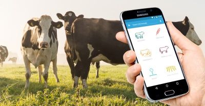 El Profesor Piña presentó las últimas tendencias en tecnologías asociada a la producción de leche bovina y cómo se han incorporado dispositivos y equipamiento para facilitar producción e investigación