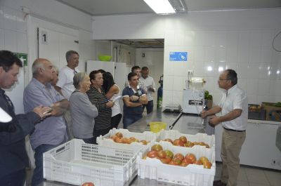 Agricultores brasileños conociendo la aplicación de diferentes tratamientos postcosecha en tomate.