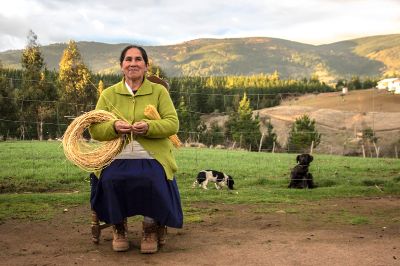 El documental rescata el oficio en vías de extinción de mujeres campesinas del Valle del Itata, conocidas localmente como "colchanderas"