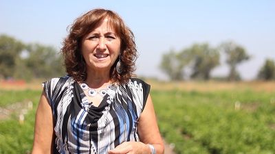 La académica Cecilia Baginsky Guerrero es Ingeniera Agrónoma, Dra. de la U. Politécnica de Madrid y pertenece al Departamento de Producción Agrícola.