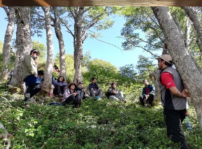 Dentro del curso "Vegetation Dynamics" los estudiantes visitaron el Parque Nacional Alerce Costero y el Parque Nacional Vicente Pérez Rosales.