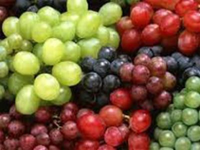 Ojvetivo:Proporcionar conocimientos y herramientas acerca de procedimientos y factores que afectan; enfriamiento, almacenaje y transporte refrigerado, que influyen en calidad de frutas de exportación