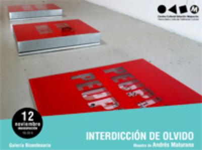 "Interdicción de Olvido. Momento constituyente de Chile hoy" del artista también egresado del DAV, Andrés Maturana, se presenta hasta el 27 de diciembre en la Galería Bicentenario.