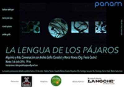 La exposición "La lengua de los pájaros" de María José Rojas, Bárbara Oettinger y Ricardo Pizarro, curada por Andrés Grillo, se presenta hasta el 23 de julio en la Galería Panam.