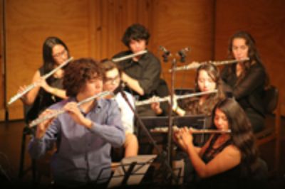 En dependencias de la Facultad de Artes se realizarán talleres de dibujo, voz, serigrafía y actuación, entre otros, además de un concierto educativo de flautas a cargo de la Orquesta Illawara.