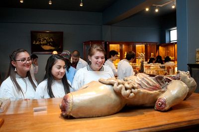 Estudiantes en el Museo de Anatomía U. Chile.
