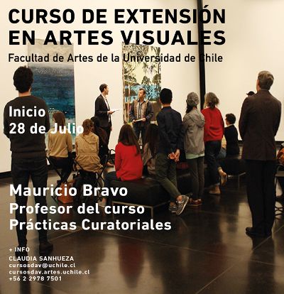 Mauricio Bravo, también artista visual y académico del DAV impartirá el curso "Prácticas Curatoriales".