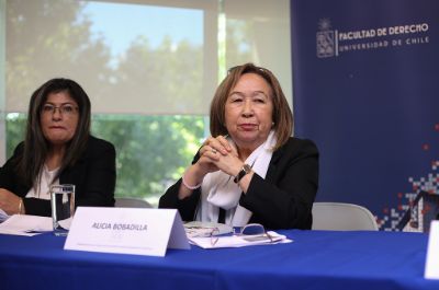 En la actividad participó la directora del Departamento de Enseñanza Clínica del Derecho, profesora Alicia Bobadilla.