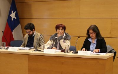 El encuentro fue organizado por la Dirección de Extensión, la Secretaría de Derechos Humanos Derecho U. Chile y el Centro de Estudiantes de Derecho.