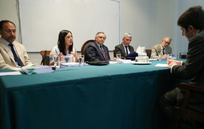 Dr. Martín Böhmer (U. de Buenos Aires) y el Dr. Carlos Peña (U. Diego Portales) fueron evaluadores externos en la comisión.
