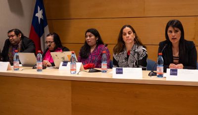 Durante el primer panel, hubo críticas al Estado de Chile en cuanto al cumplimiento de las obligaciones de respeto y garantía en materia de derechos humanos de la mujer indígena.