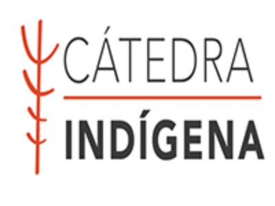 Declaración Cátedra Indígena sobre aplicación de Ley Antiterrorista