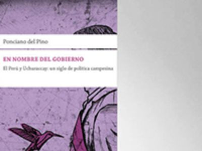El historiador peruano ganó el Premio Iberoamericano LASA en su edición 2018, por su libro "En nombre del Gobierno. El Perú y Uchuraccay: un siglo de política campesina".