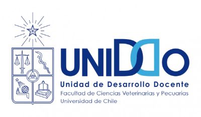 La UNIDDO (Unidad de Desarrollo Docente) es dirigida por la Dra. Sonia Anticevic.