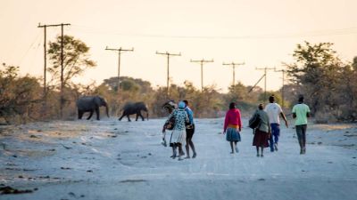 En una parte importante del territorio de Botswana, elefantes comparten los mismos territorios que agricultores, disputando agua y alimentos. 