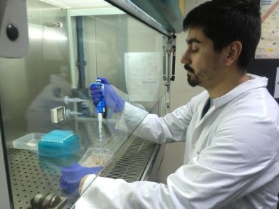Dr. Juan Mena, Laboratorio de Virología de la Facultad de Ciencias Veterinarias y pecuarias de la Universidad de Chile 