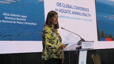 La Directora de Sernapesca, Dra. Alicia Gallardo, entregó un exhaustivo balance de la situación sanitaria y destacó la contribución de la U. de Chile en la reducción del uso de fármacos.