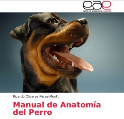 Manual de anatomía del perro