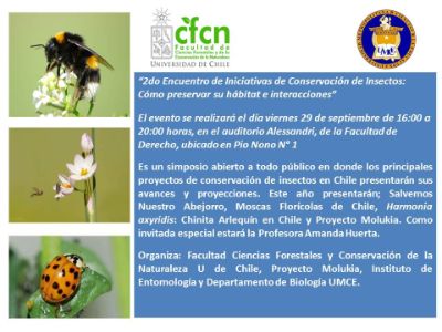 Segundo Encuentro de iniciativas de conservación de insectos