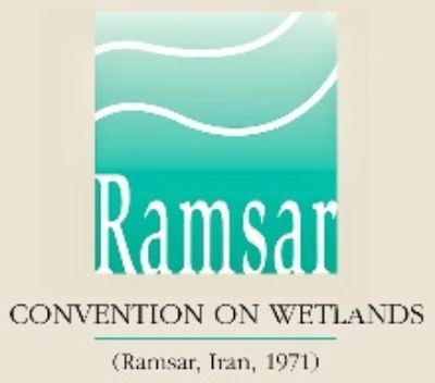 La Convención Internacional de Conservación de Humedales se realizó en Irán en el año 1971. 